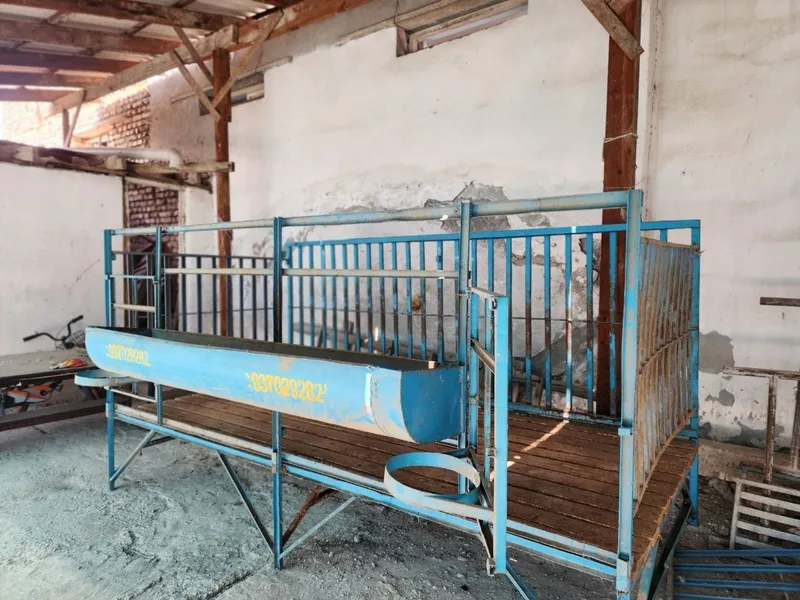 Qoyhona qoylar uchun 1