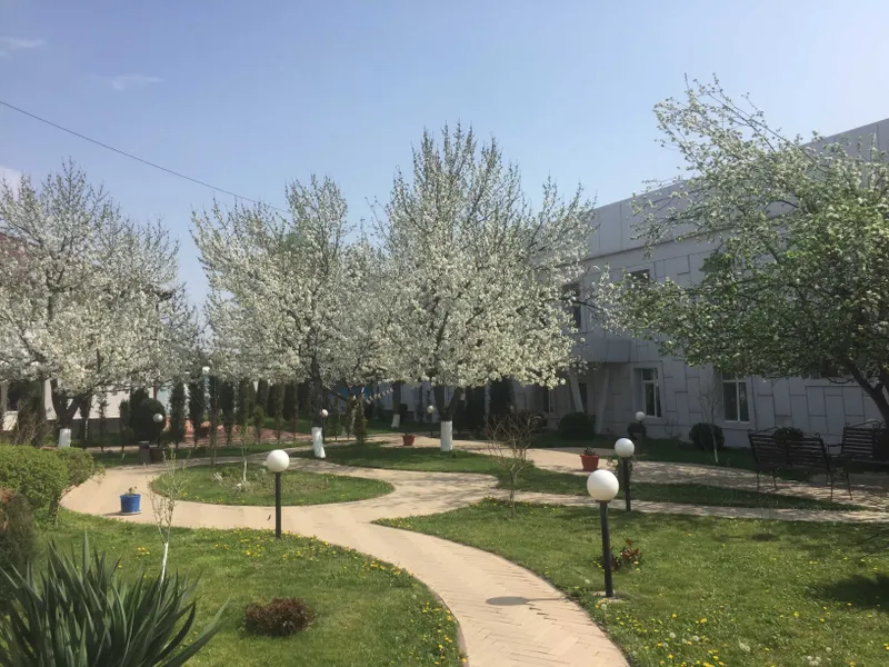 Egasi. Olmazor City - Bino ijarasi. Аренда для клиники, школы и тд. 1