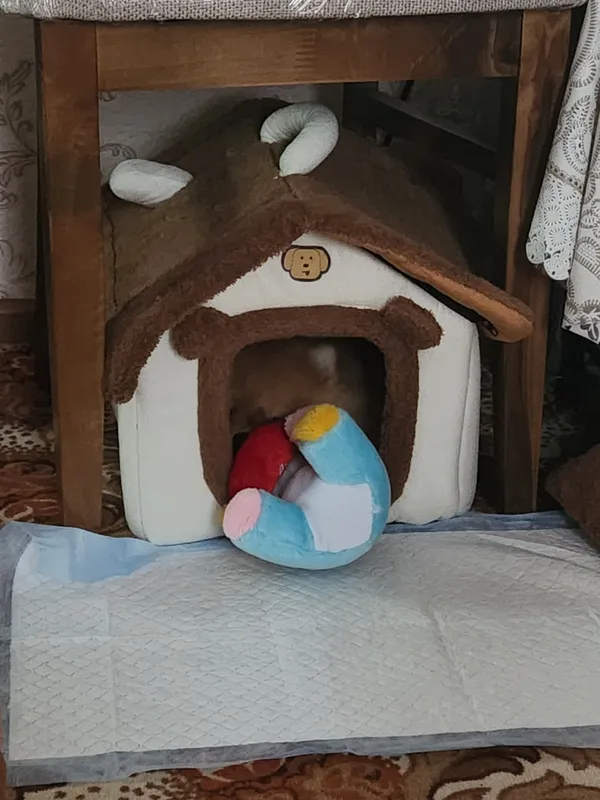 Продам домик для мелких собак и кошек 3