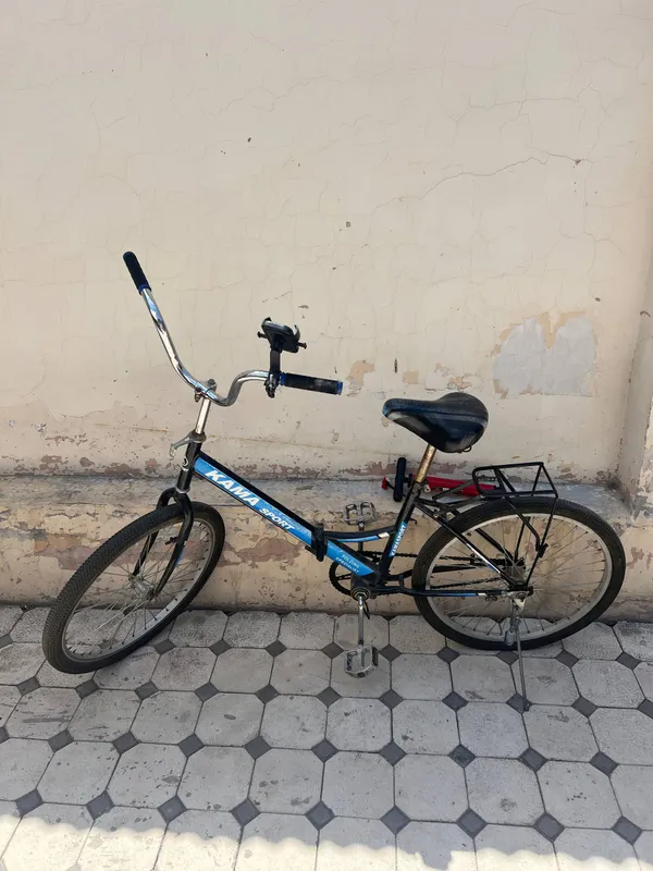 Velosepet