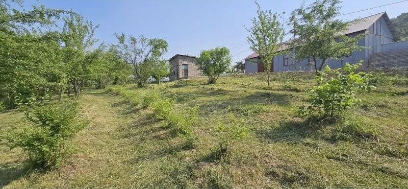 Dala hovli uchun yer uchastkasi 3