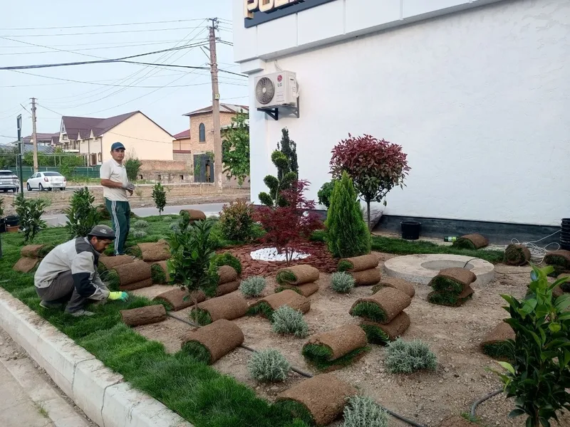 Gazon ekish Bo'bon gazon landshaft gul ekish dorilash xizmati