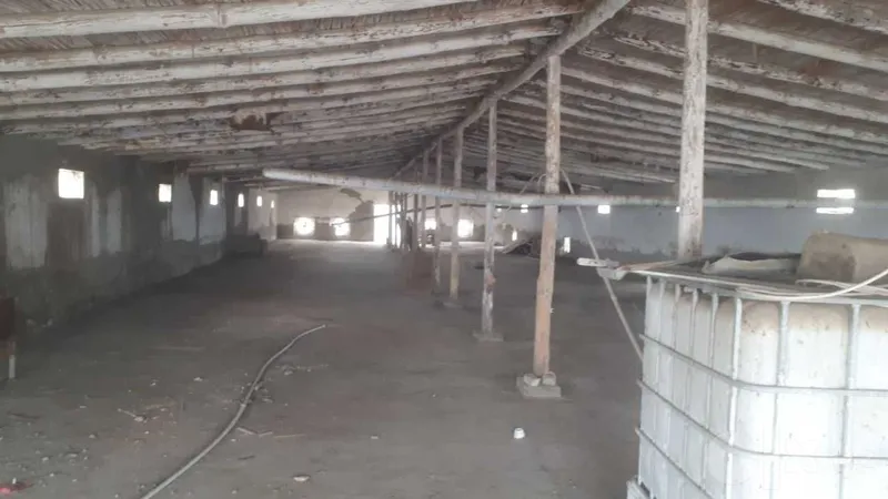 Korxona sotiladi:Gisht zavod,tovuq fabrika,baliq hovuz 7 Korxona sotiladi:Gisht zavod,tovuq fabrika,baliq hovuz 7