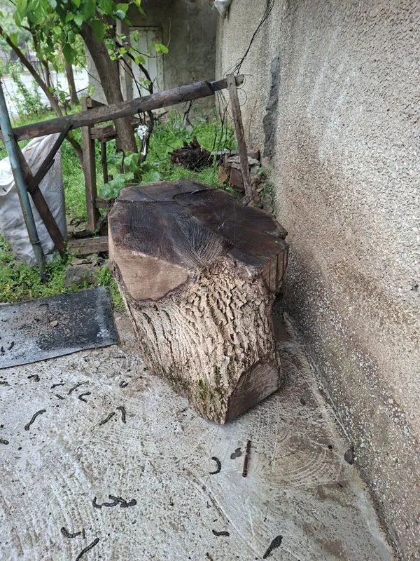 Енгок кунда зур таййор кассоблага гушт тунка — фото 1