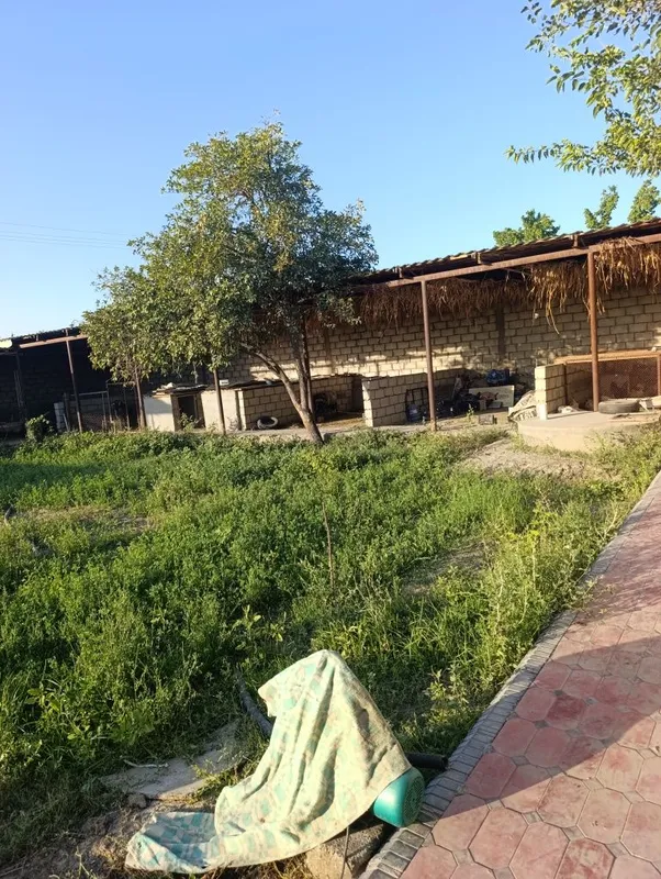 Продаю дачу MADANIYAT 5