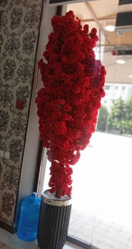 Divan,jurnalniy va sakura yengide 1