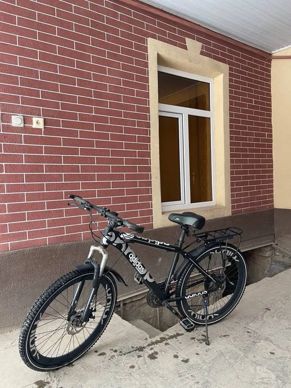 Velik 26 holati zor 2 ta yaxshi bilan qora — фото 2