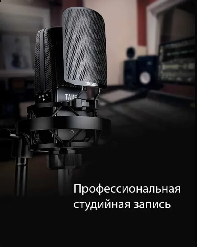 Студийный конденсаторный микрофон Takstar Tak55 5