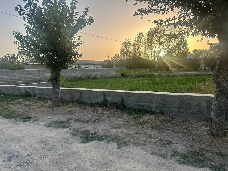 Йер сотилади 8 сутик, атрофи фундамент билан уралган Самарканд вилояти — фото 2