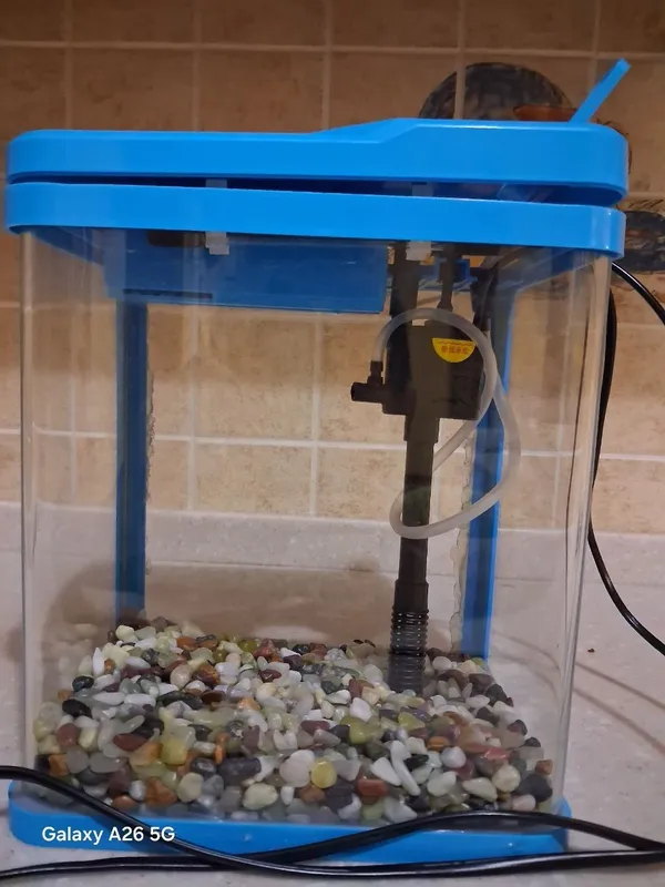 akuvarium 4 akuvarium 4