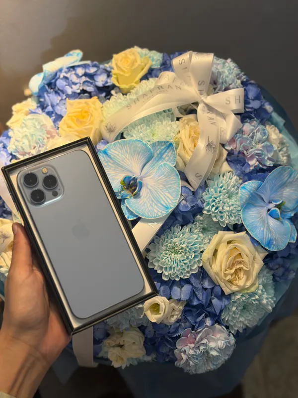 IPHONE 13 PRO MAX 256GB