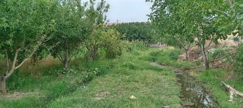 Продаётся дачный дом 1 Продаётся дачный дом 1
