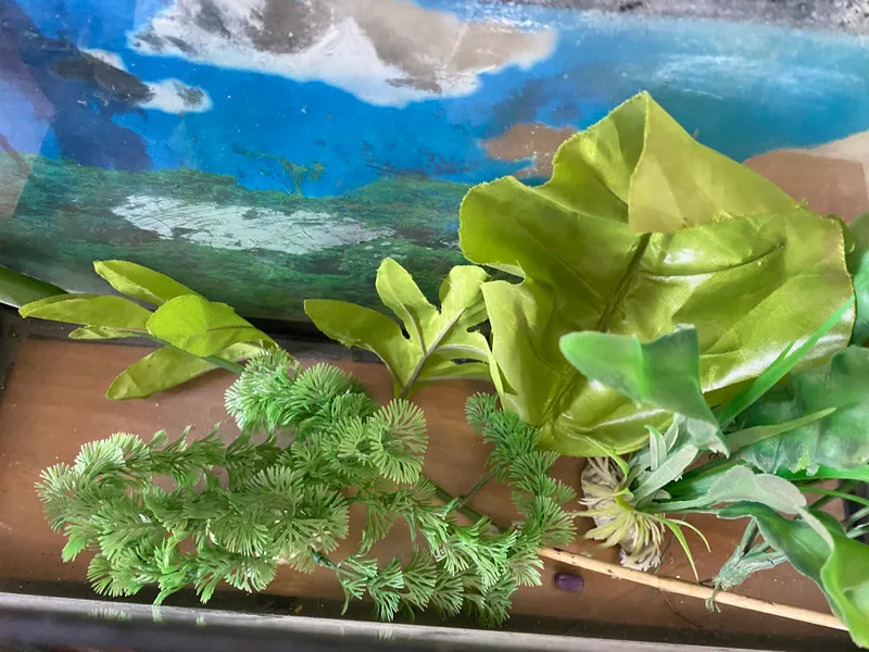 Akvarium 5 Akvarium 5