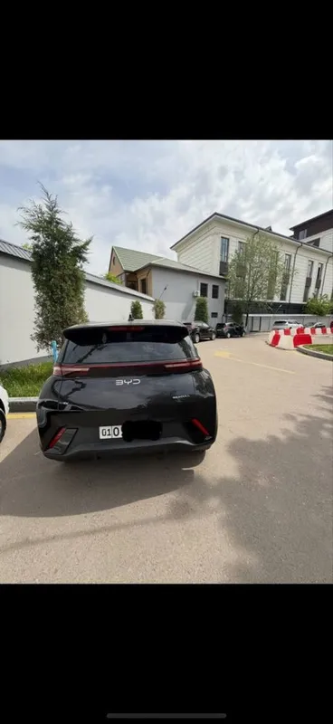 Byd sygl 2024 kraska toza 2