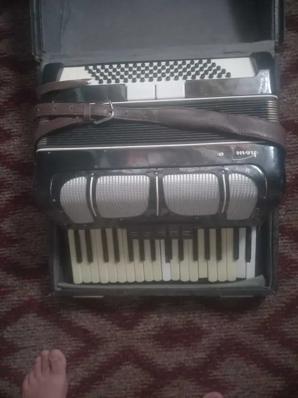 Akkardion... Muzikalnaya 2