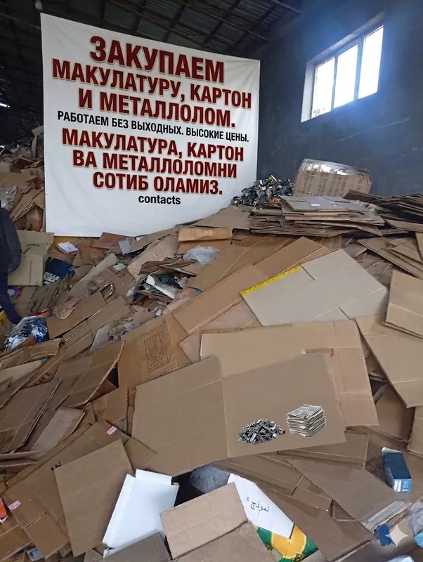 МАКУЛАТУРА: покупаем книги, тетради, журналы, белую бумагу МАКУЛАТУРА: покупаем книги, тетради, журналы, белую бумагу