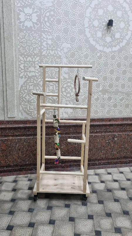 Стенд для ручных попугаев