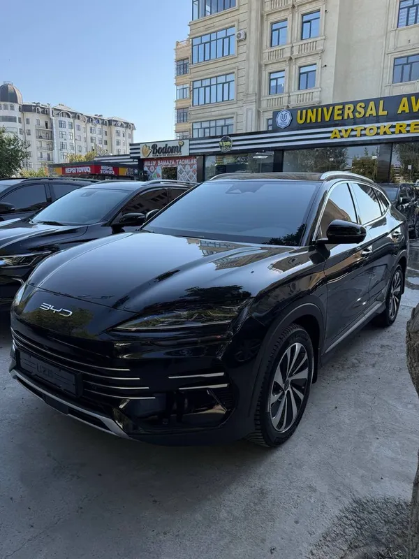 Byd champion full komplektatsiya 1