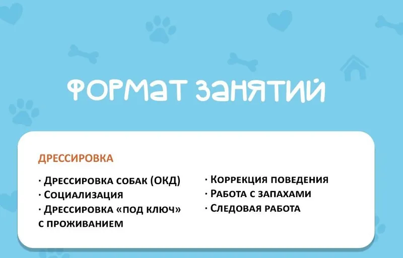 Услуги кинолога. 2