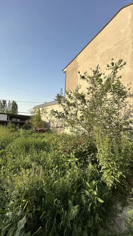 Продаётся участок 5 соток Сергели улица Согдиена Машина базар срочно — фото 3