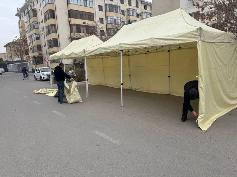 Столь стул прокат — фото 7