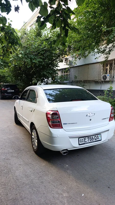 COBALT LTZ avtomobilimni sotaman 2