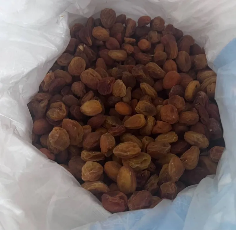 Bizda arzonroq insof sari Tayor qurtilgan turshakla sotladi shirin !!! — фото 1
