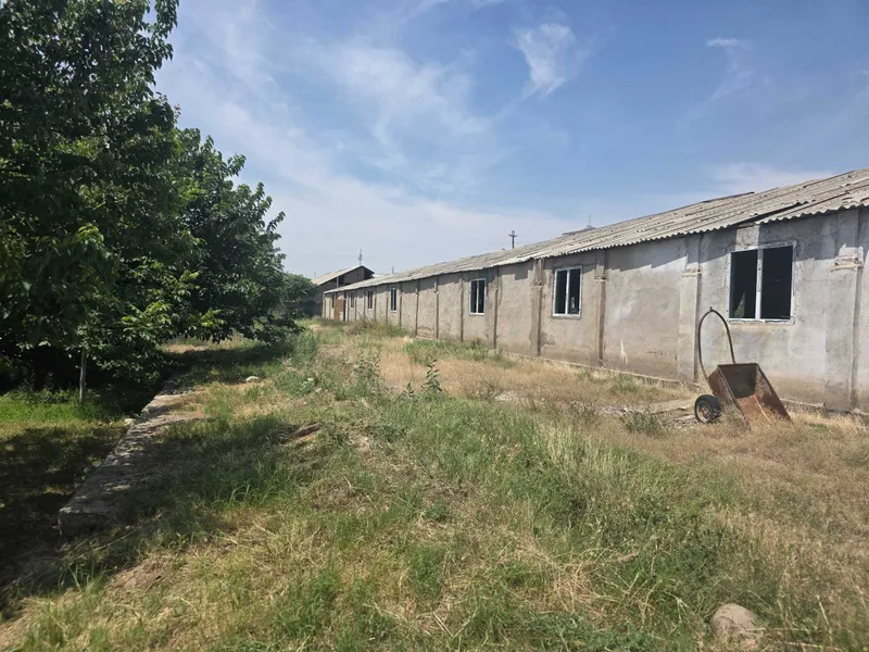 Gazalkentda 40 sotix sanoat hududi, 700 m² bino bilan 2