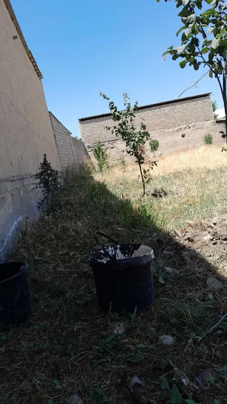8 sotix bo'sh yer sotiladi. Samarqand v. Paxtabod MFY — фото 3