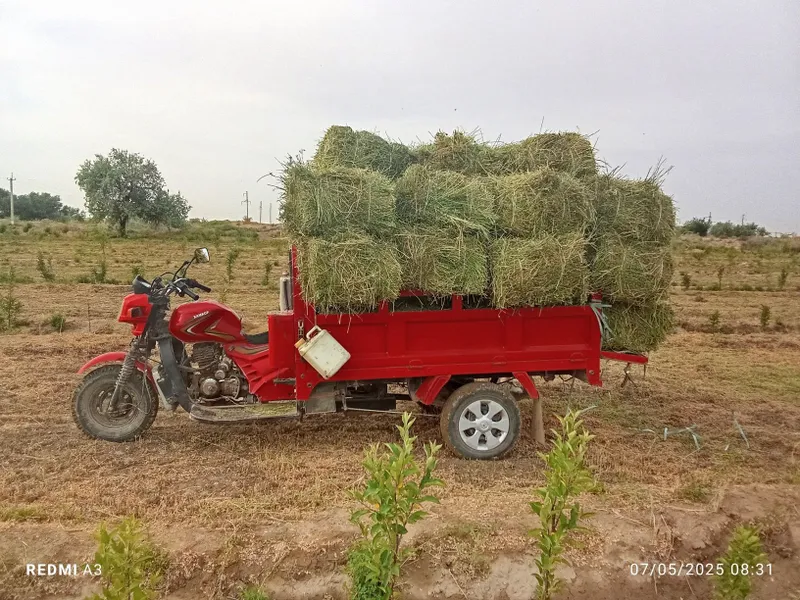 Hamkor motsakil sotiladi narxi 10 mln boʻladigan shu — фото 1