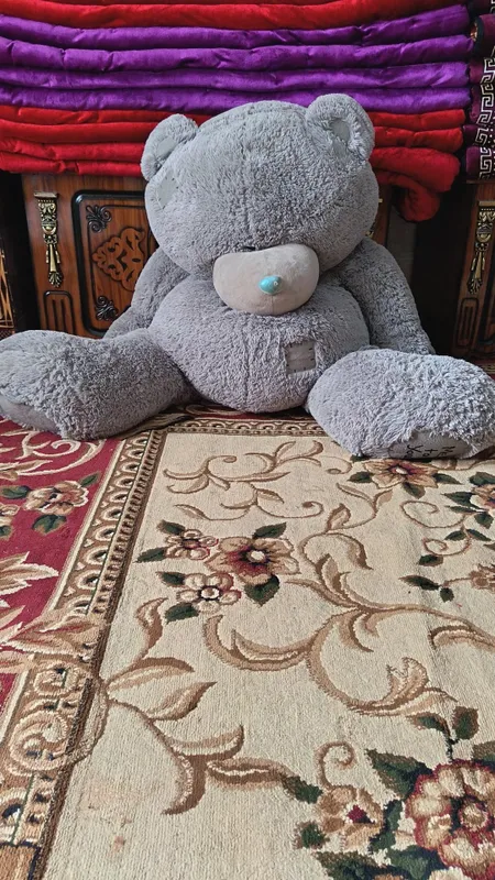 teddy ayiqcha — фото 1