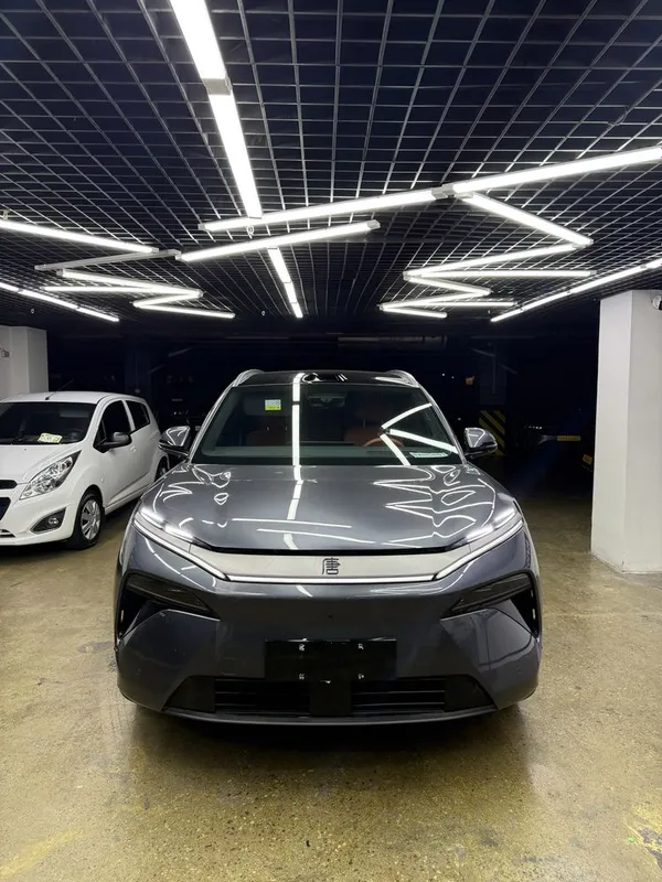 Byd tang 2025