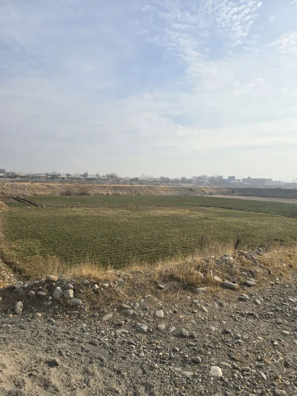 Ijara ko'l beriladi hamma sharoiti bor — фото 3