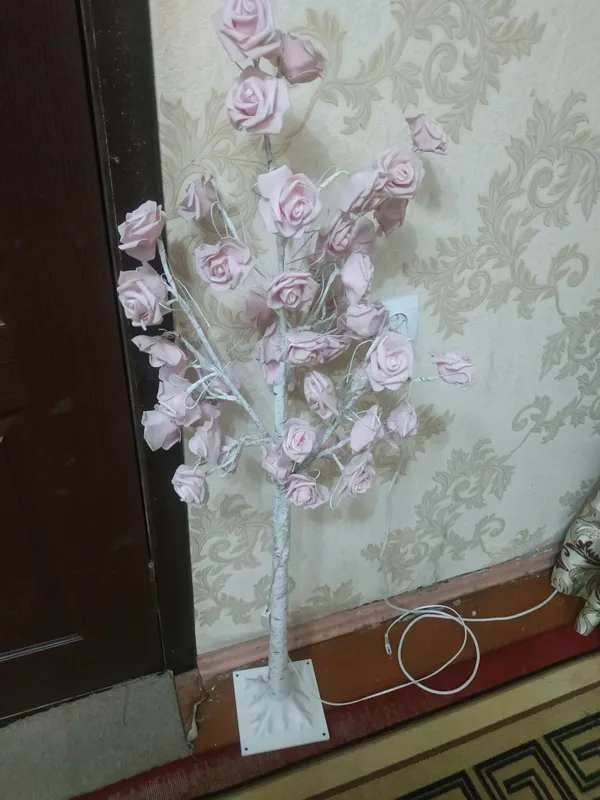 Svitilnik rosa chiroyli