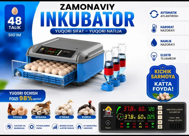 48 talik inkubator