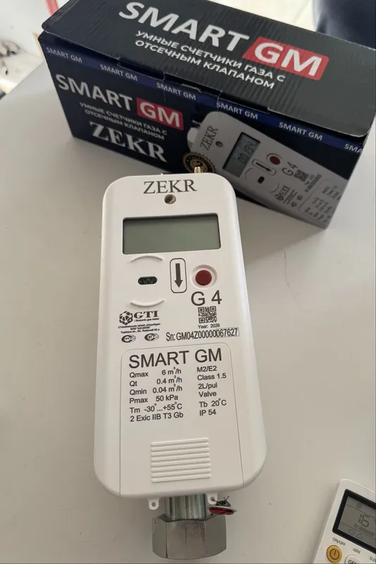 Zeekr G4 gaz hisoblagich bitta gaz plitalik domlarga moʻjalangan