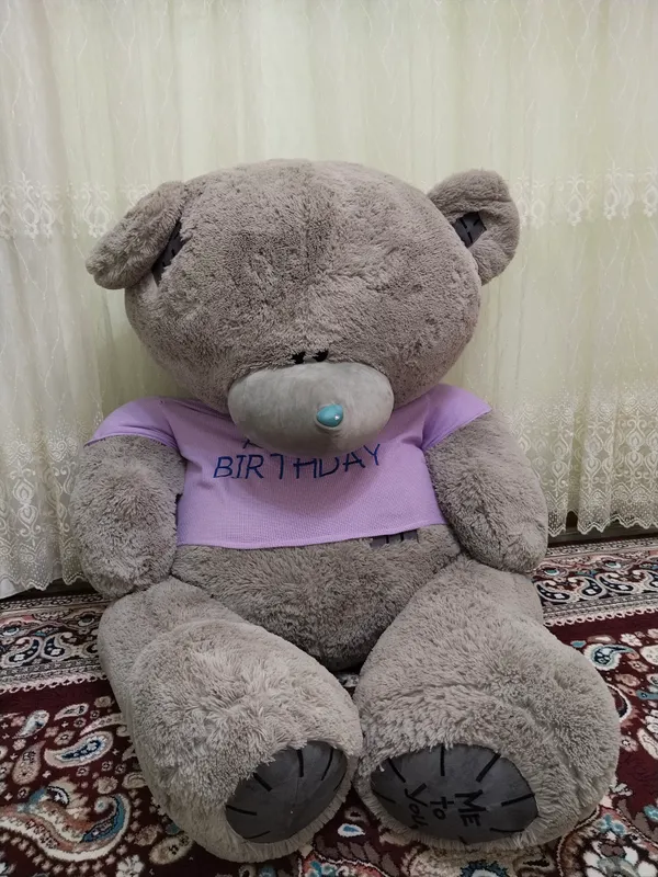 Teddi ayiq