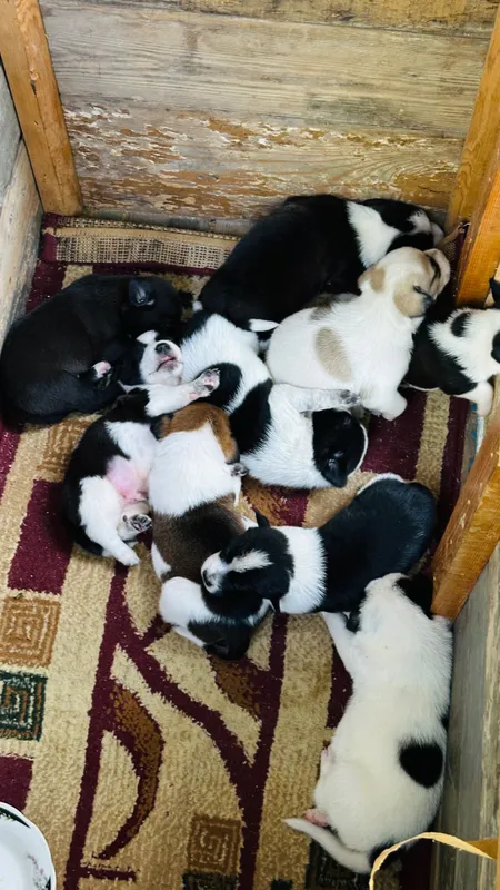 Yaxshi qo‘llarga beriladi 1 Yaxshi qo‘llarga beriladi 1