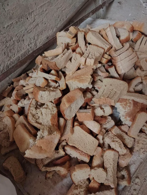 Molga qotgan boxonka non sotiladi
