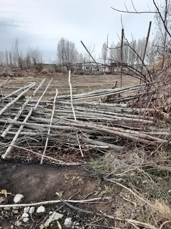 Утин сотилади(терак) — фото 4