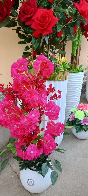 кули иши суний гуллар — фото 2