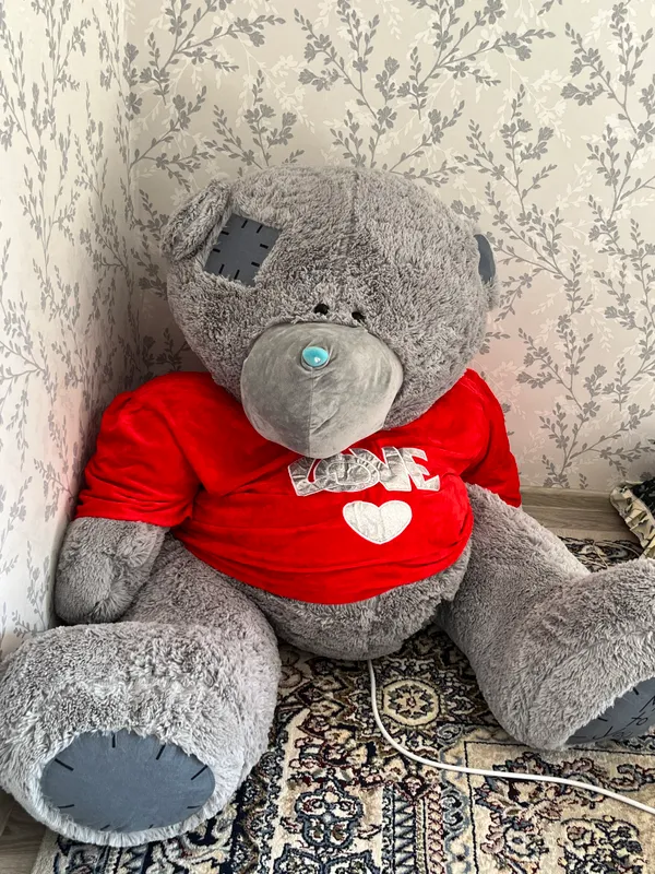 Teddy igrushka 1