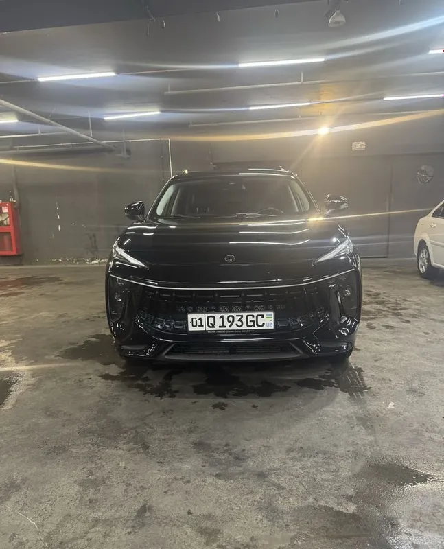 Forthing T5 Evo Dongfeng 1 Forthing T5 Evo Dongfeng 1