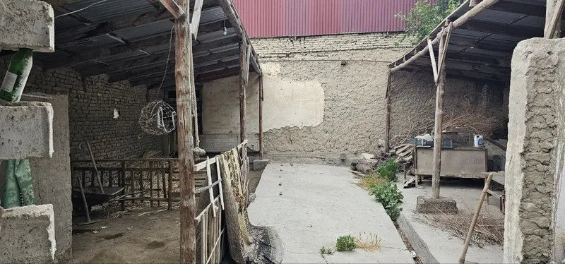 Ҳовли 2,4 суток сотилади срочно пул керак чехова куча — фото 1