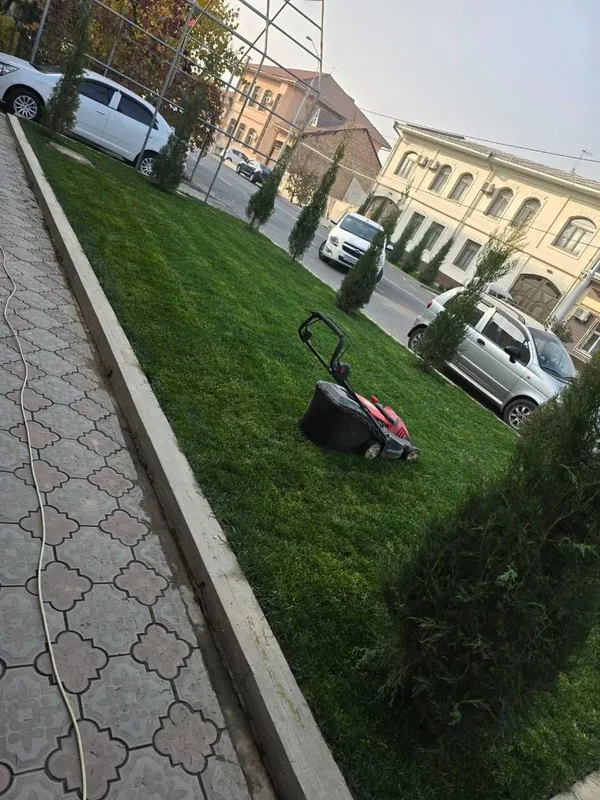 Tayyor gazon gazon urug' poliv ustanovka — фото 5