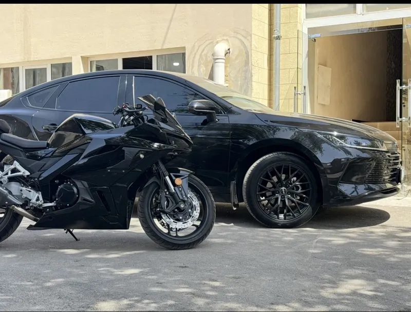 Byd chazor 120 tali