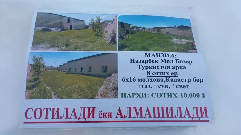 Nazarbek mol bozorda er sotiladi