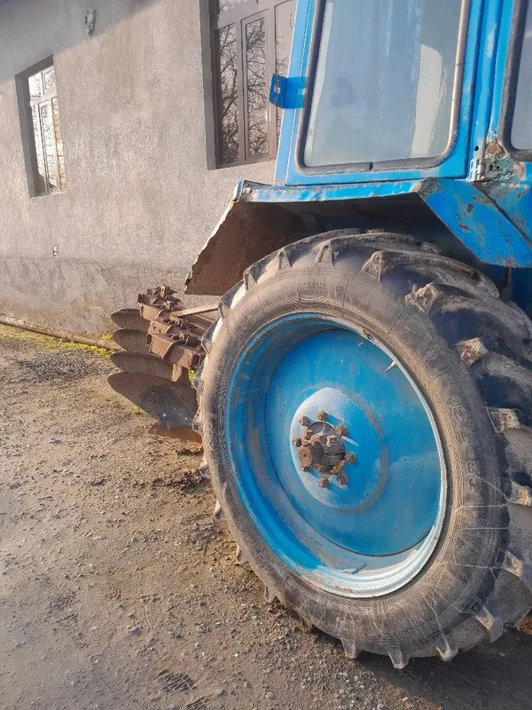 Holati alo tilichka alohida