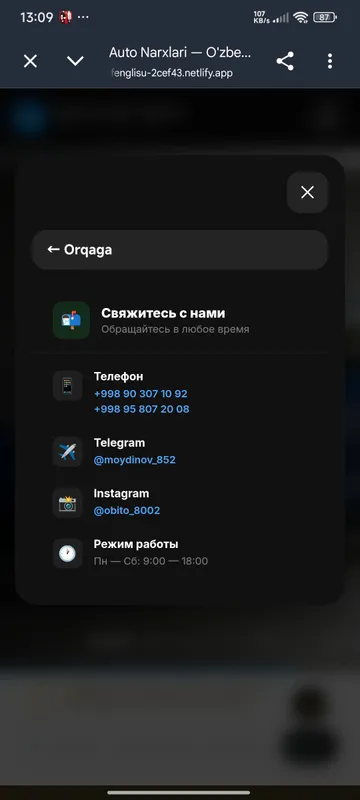 для автосалона и другого бизнеса 3 для автосалона и другого бизнеса 3