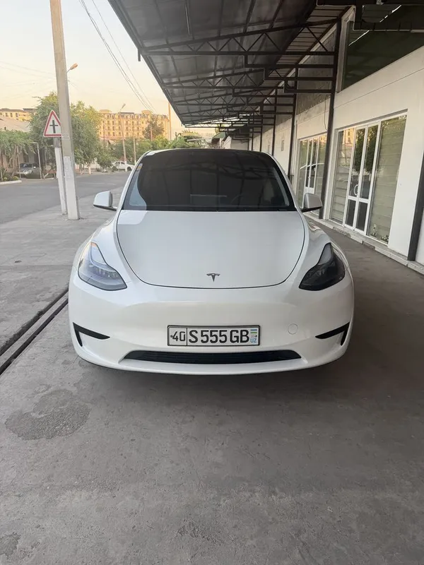 Tesla model Y (RWD) — фото 1